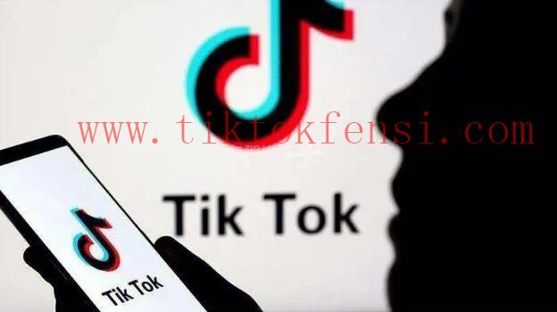 TikTok点赞和播放量哪里可以租赁？谨慎选择！