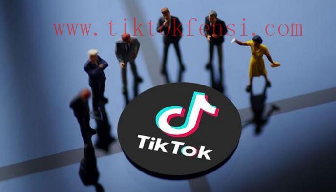 揭秘TikTok播放量在800的奥秘！原创解析！