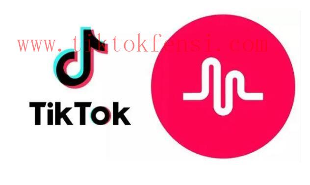 TikTok点赞率多少算高？探秘高点赞率的秘诀与方法