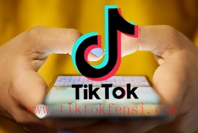 TikTok涨粉黑科技