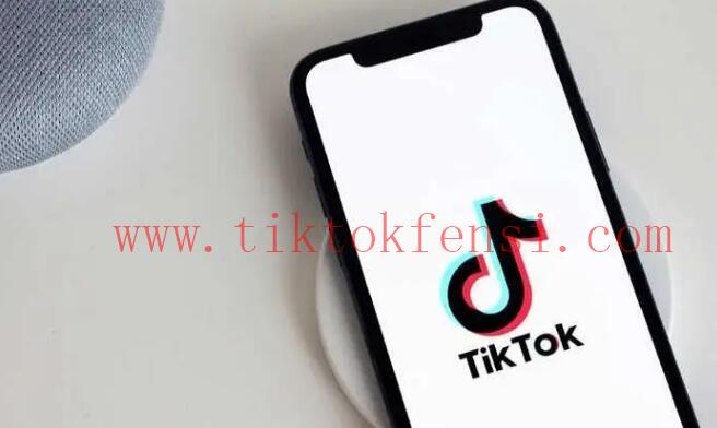 TikTok播放量变现
