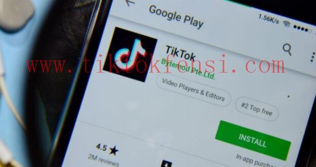 TikTok涨粉工具：提升粉丝数量的利器！
