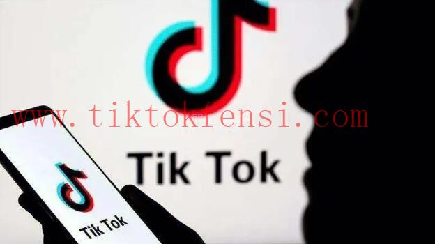 TikTok怎么买粉