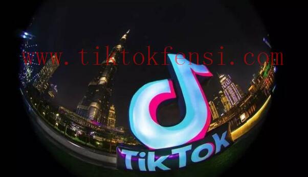 TikTok作品