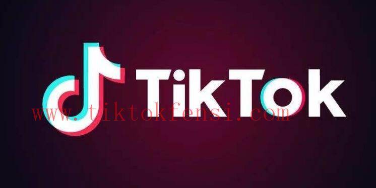 tiktok视频播放量如何高