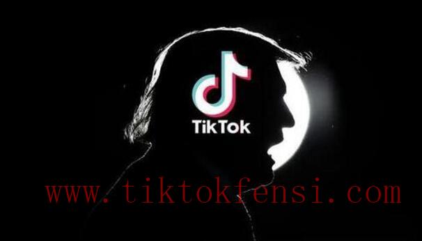 TikTok账号